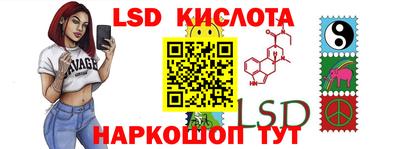 шишки Шелехов