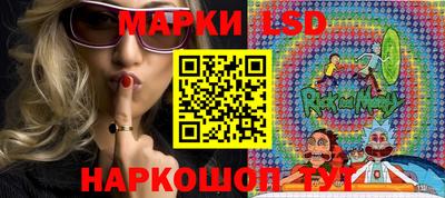 шишки Шелехов