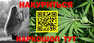 шишки Шелехов