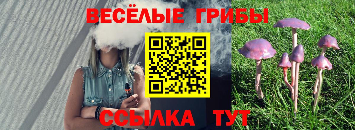 Лангепас  Галлюциногенные грибы прущие грибы  Вход с VPN 