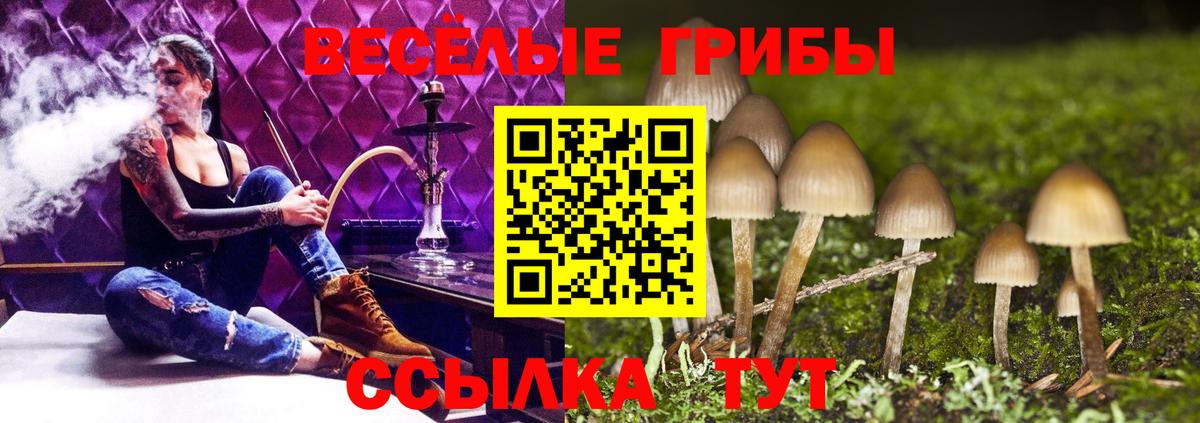 Псилоцибиновые грибы мухоморы Лангепас